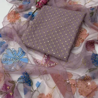 Embroidered Organza 2-Piece Partywear Suit