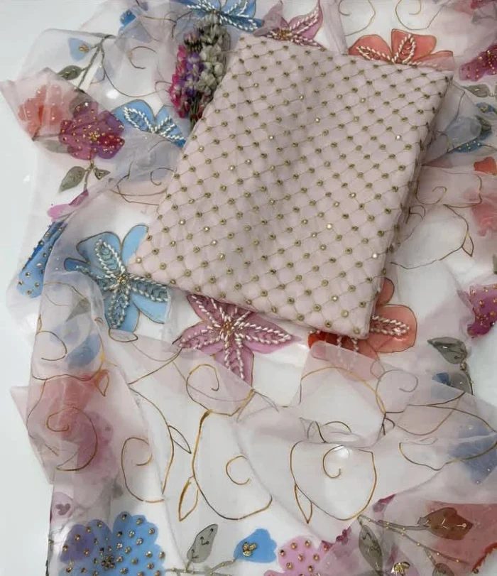 Embroidered Organza 2-Piece Partywear Suit