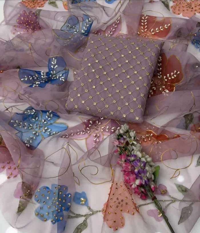 Embroidered Organza 2-Piece Partywear Suit